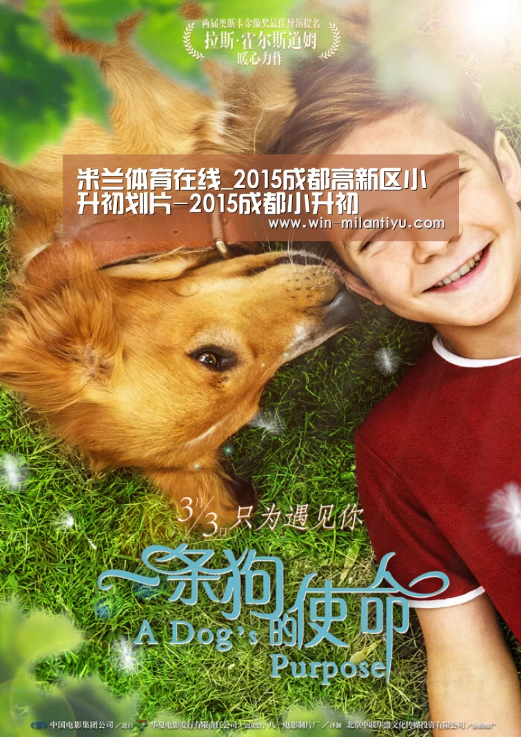 米兰体育在线_2015成都高新区小升初划片-2015成都小升初(图1) 米兰体育官网入口